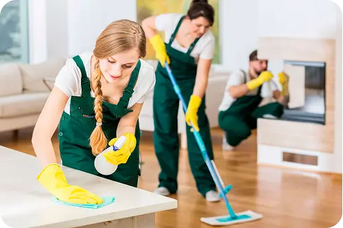 about us blue mop cleaning services suffolk